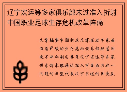 辽宁宏运等多家俱乐部未过准入折射中国职业足球生存危机改革阵痛